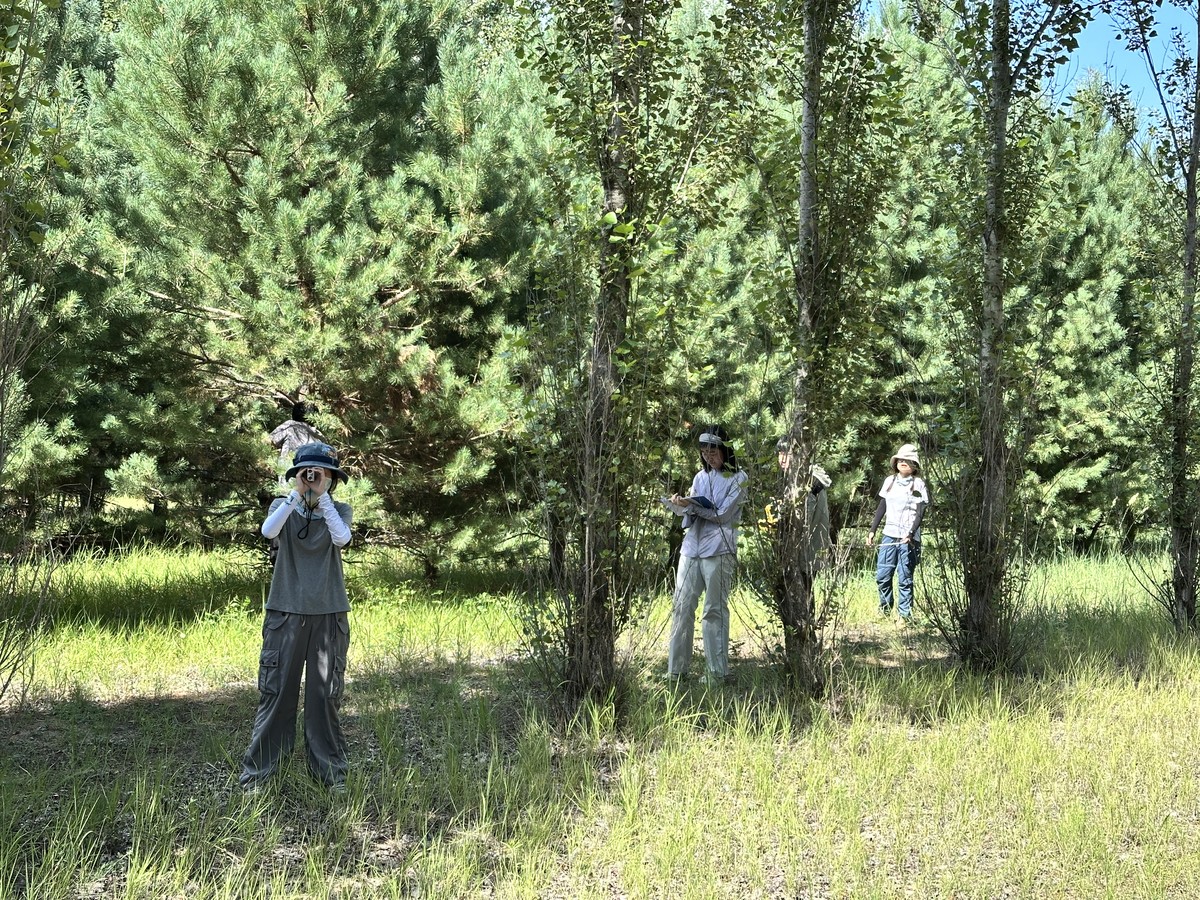 Section image